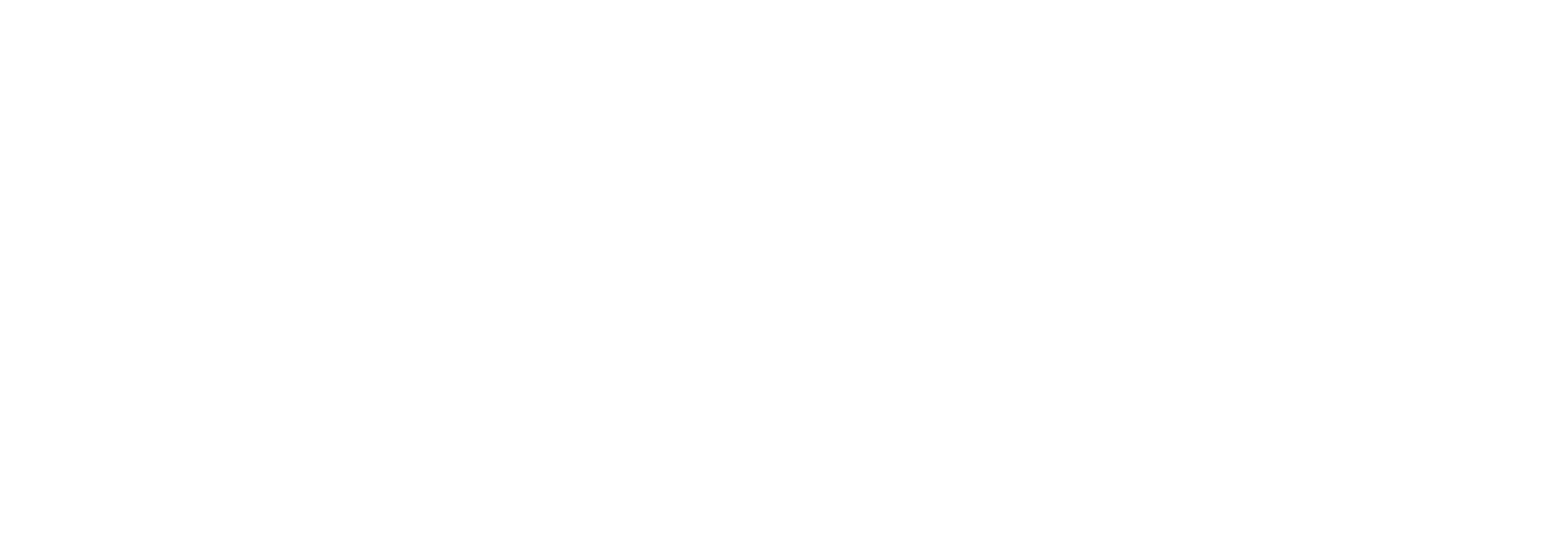 Domslim