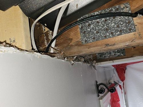 Water damage restoration specialists serving Chelmsford, NH, and MA