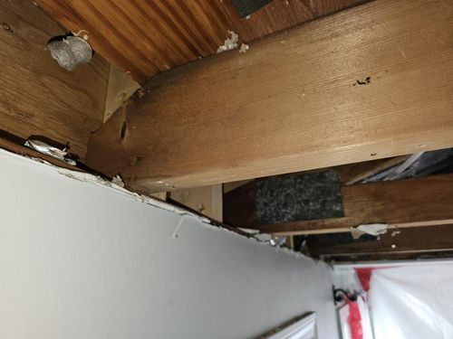 Asbestos abatement services in Chelmsford, MA for residential and commercial properties