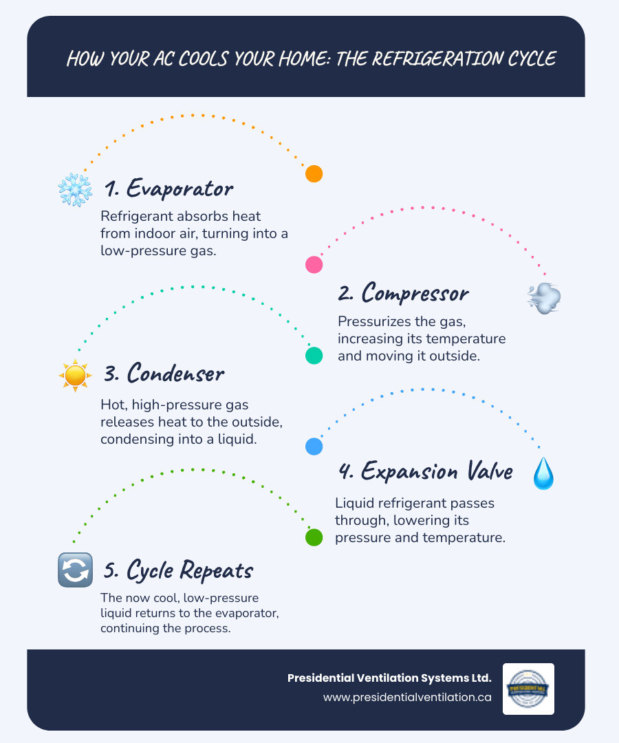 Infographic showing the basic air conditioning refrigeration cycle with four main components: evaporator coil absorbing heat from indoor air, compressor pressurizing refrigerant, condenser coil releasing heat outside, and expansion valve reducing pressure to restart the cycle - Air conditioner not working infographic infographic-line-5-steps-blues-accent_colors