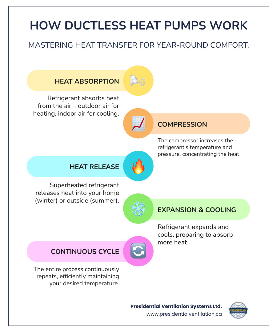 Detailed infographic showing how a ductless heat pump transfers heat in both heating and cooling modes, with outdoor unit extracting heat from cold air in winter and rejecting heat in summer, connected to indoor units via refrigerant lines - ductless heat pump benefits infographic infographic-line-5-steps-colors