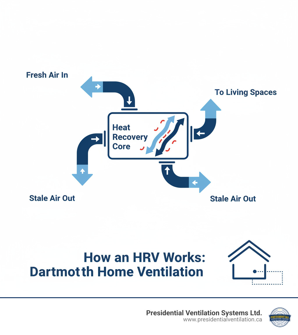 How an HRV Works: A diagram showing the process of heat recovery ventilation in a Dartmouth home. Fresh outdoor air enters through one duct, passes through the heat recovery core where it absorbs warmth from the outgoing stale indoor air (which exits through a separate duct), and the pre-warmed fresh air is then distributed throughout the home. The diagram shows air streams never mixing, with arrows indicating airflow direction, temperature transfer in the core, and connection points to home ductwork. Labels indicate 'Stale Air Out', 'Fresh Air In', 'Heat Recovery Core', and 'To Living Spaces'. - heat recovery ventilator installation in dartmouth ns infographic 