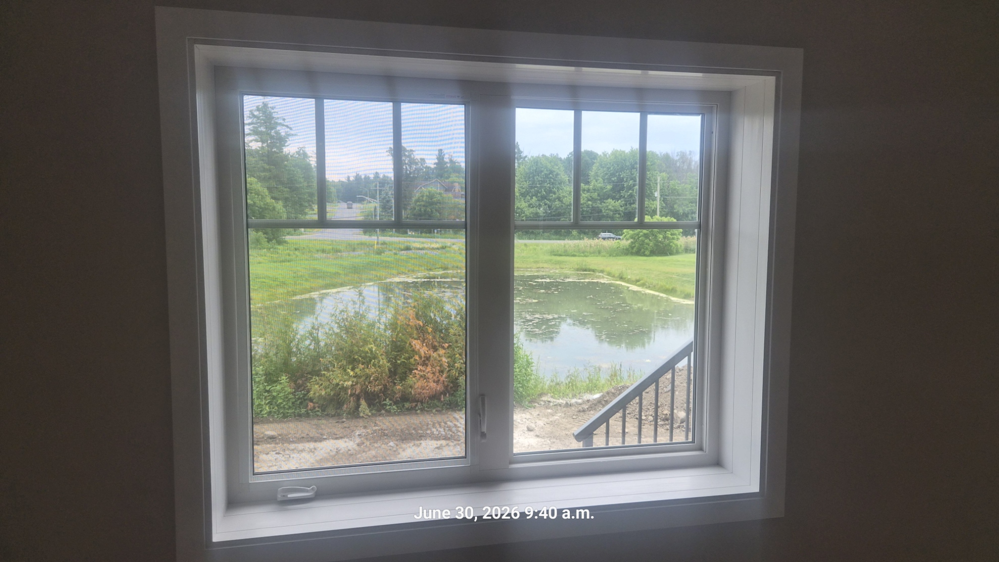 Pond view