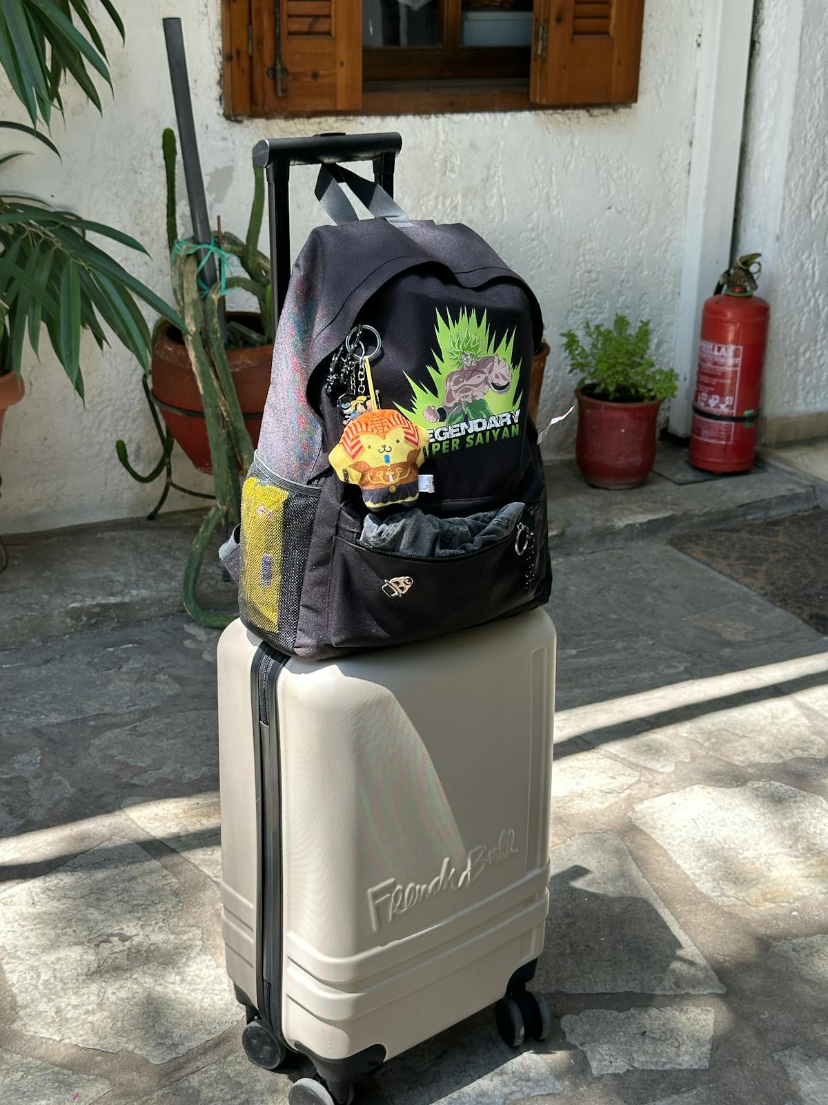 Valise et sac à dos devant une location de vacances