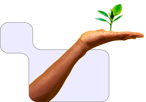 hand with leaf