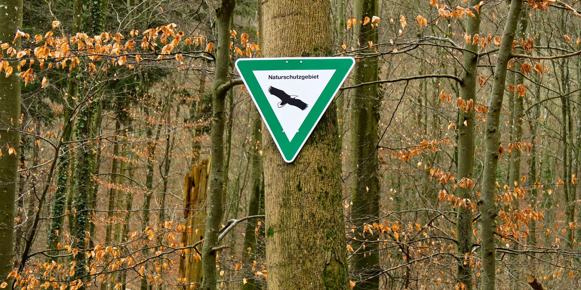 Beispiel für naturnahes Ökosystem, Naturschutzgebiet