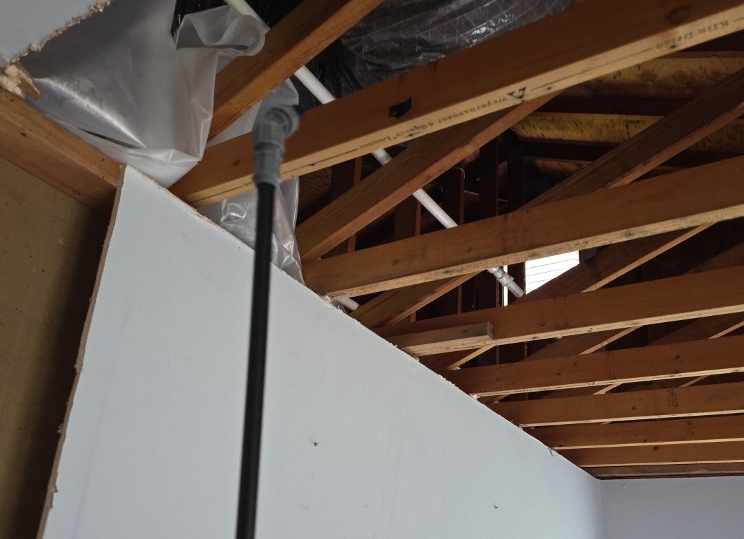 Exposed joists after demo and sprayer treating them