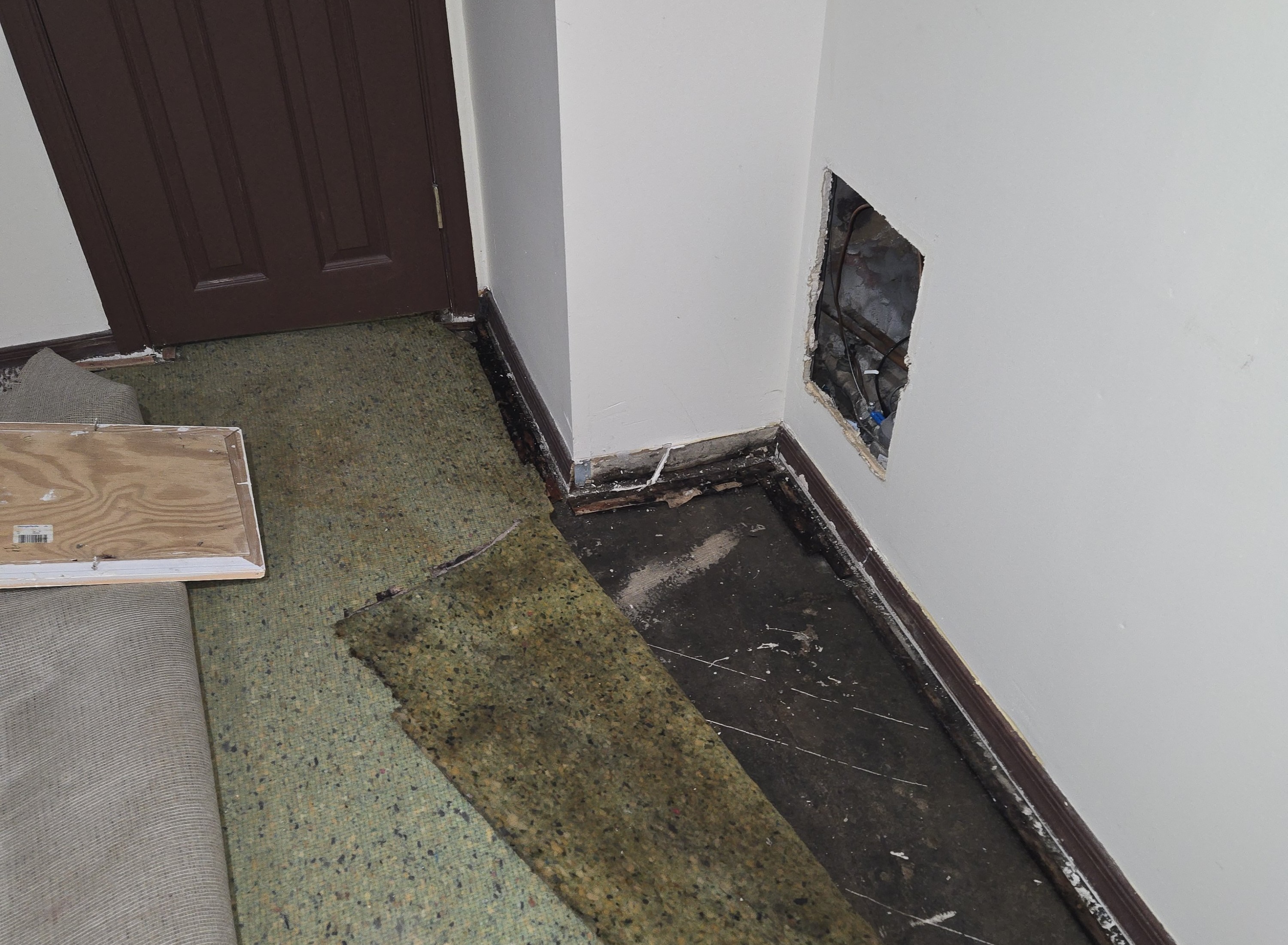 Photograph showing room with removed baseboards and some ripped up carpet showing moisture