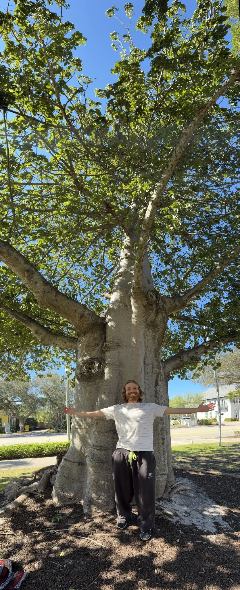 Seth smiling with arms outstretched stands in front of a large tree with thick, wide trunk and green leaves overhead on a sunny day.