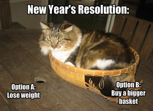 Fat Cat 1