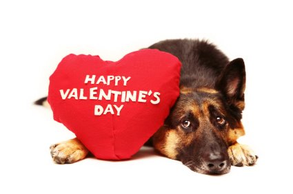 valentinesday
