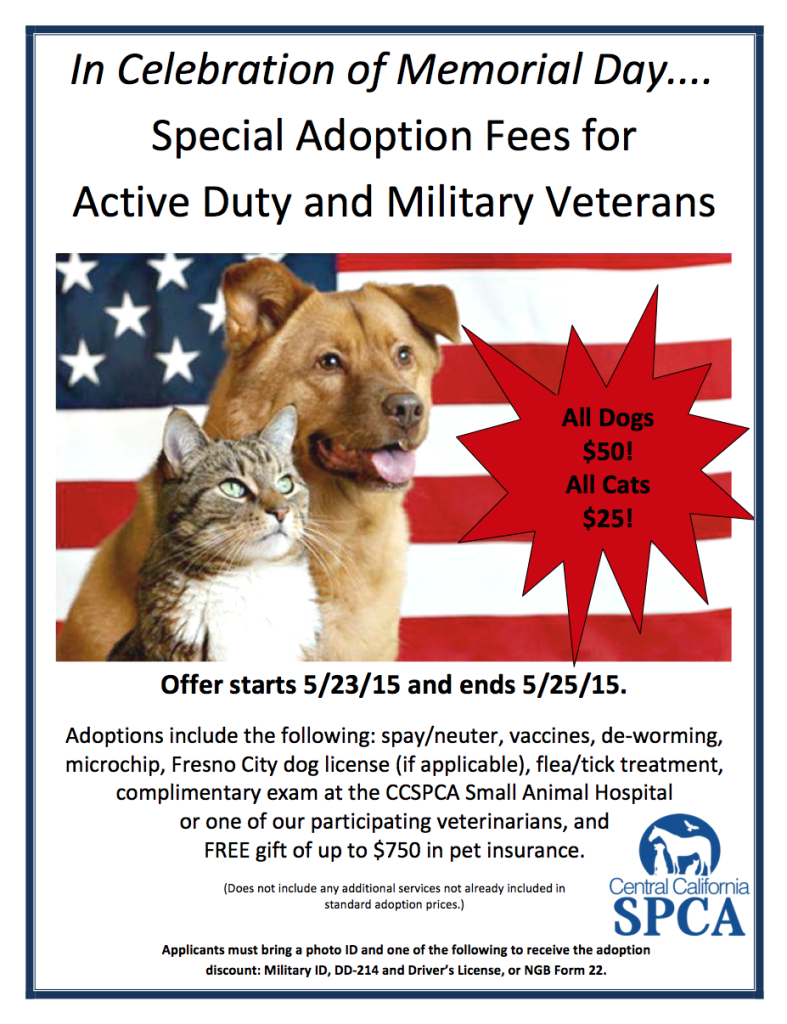 memorial-adoption-promo