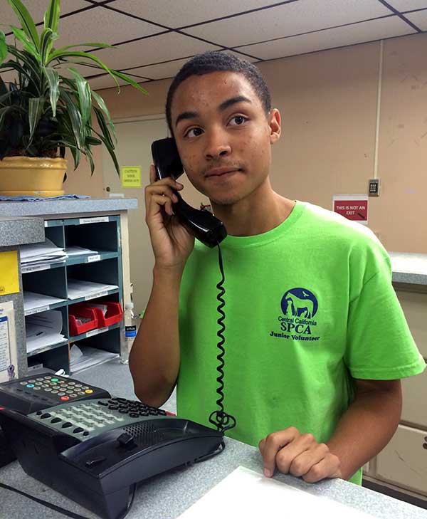 ccspca-volunteer-on-phone