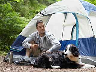 camping-with-dog