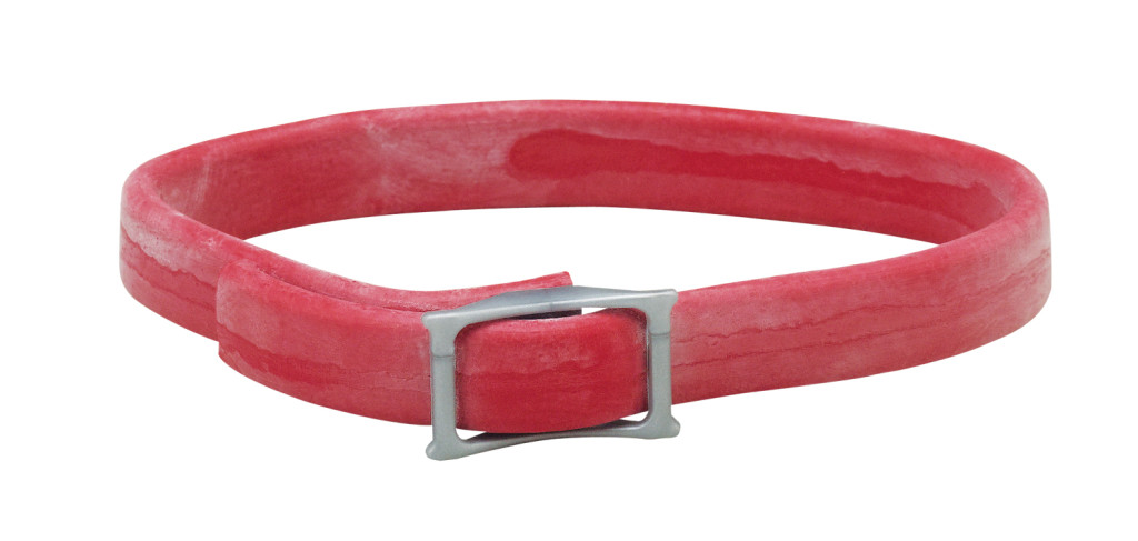 tick collar - 9 Flea and Tick Prevention Tips for Dogs