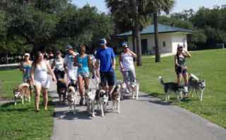 dog-walking-group