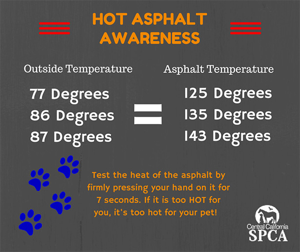 HOT-ASPHALT-AWARENESS