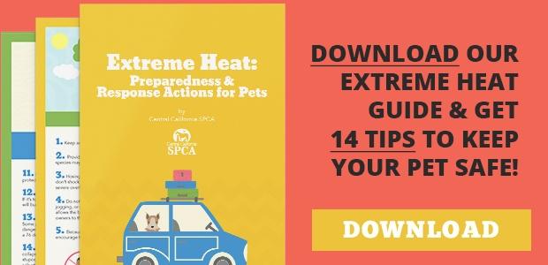 Download Our Extreme Heat Guide