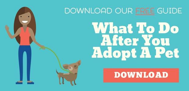 Download the free Guide - What to do after you adopt a pet