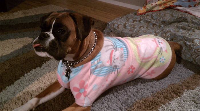 Maggie's-Jammies