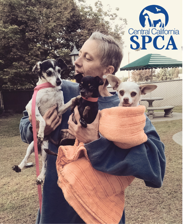 Rescues Senior Foster