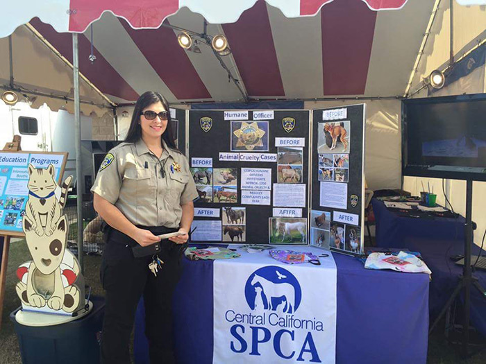 Big Fresno Fair Adopions