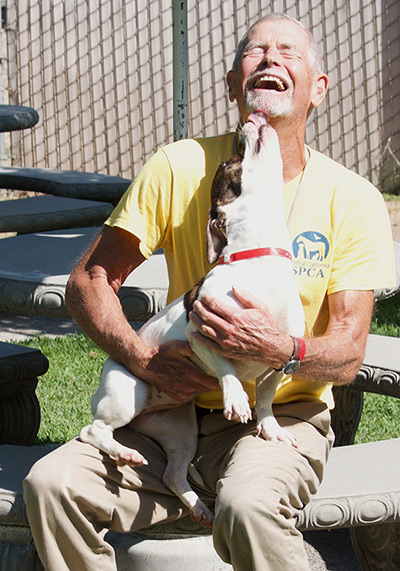 Animal Shelter Volunteer CCSPCA