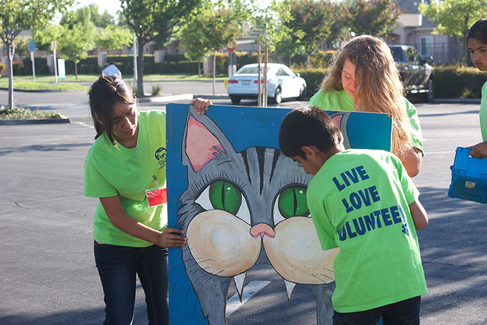 Why Become an Animal Shelter Volunteer