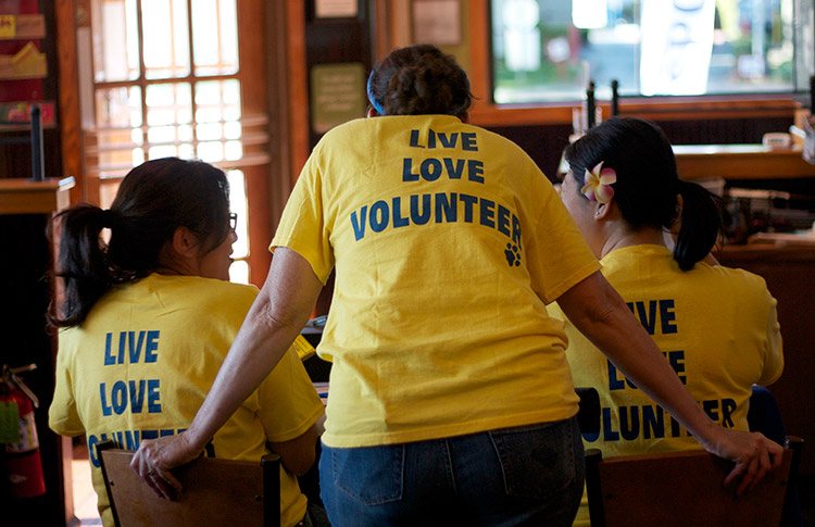 Volunteers- Visit ccspca.com to see what are the items that animals shelters use the most