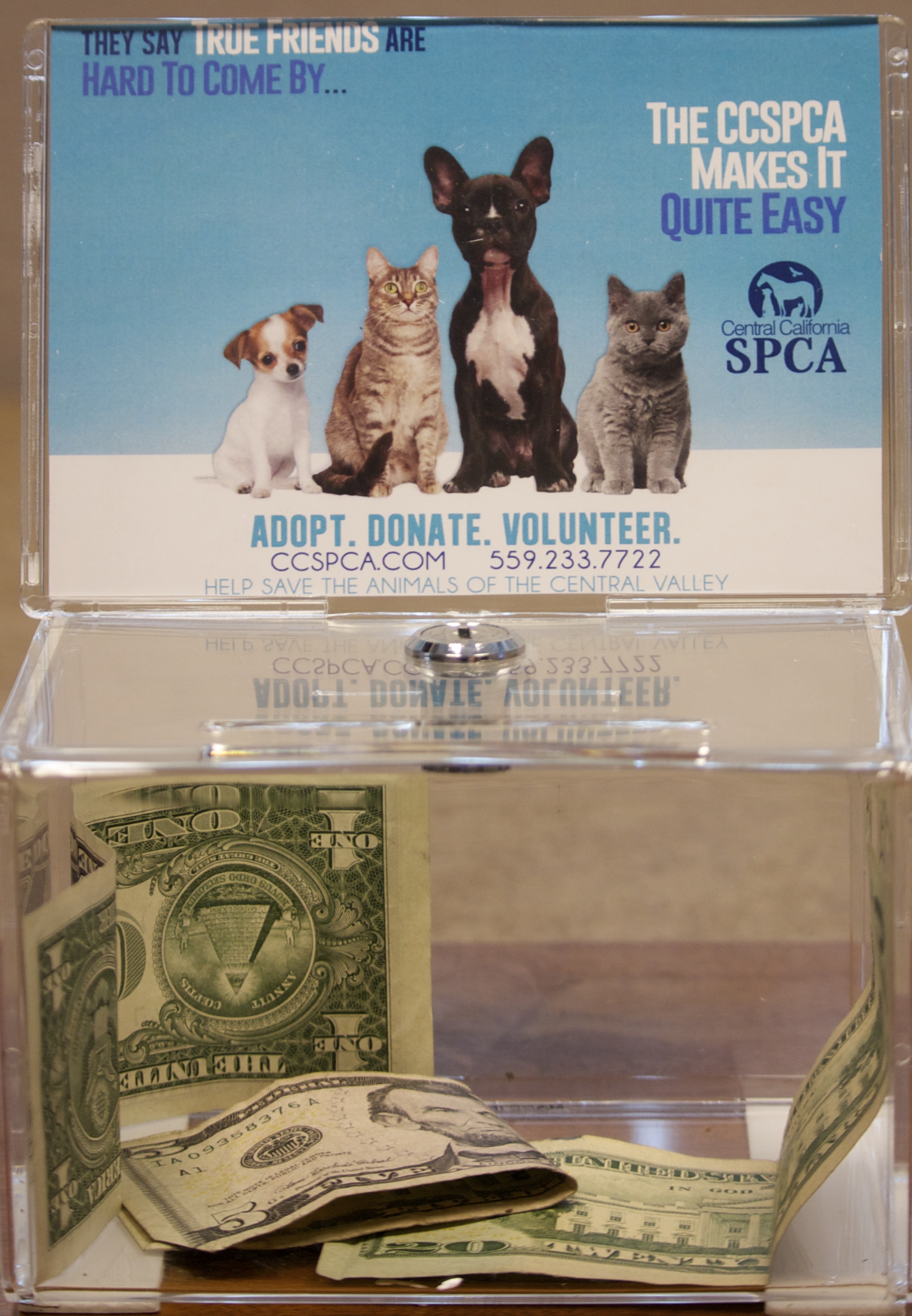 Monetary Donations- Visit ccspca.com to see what are the items that animals shelters use the most