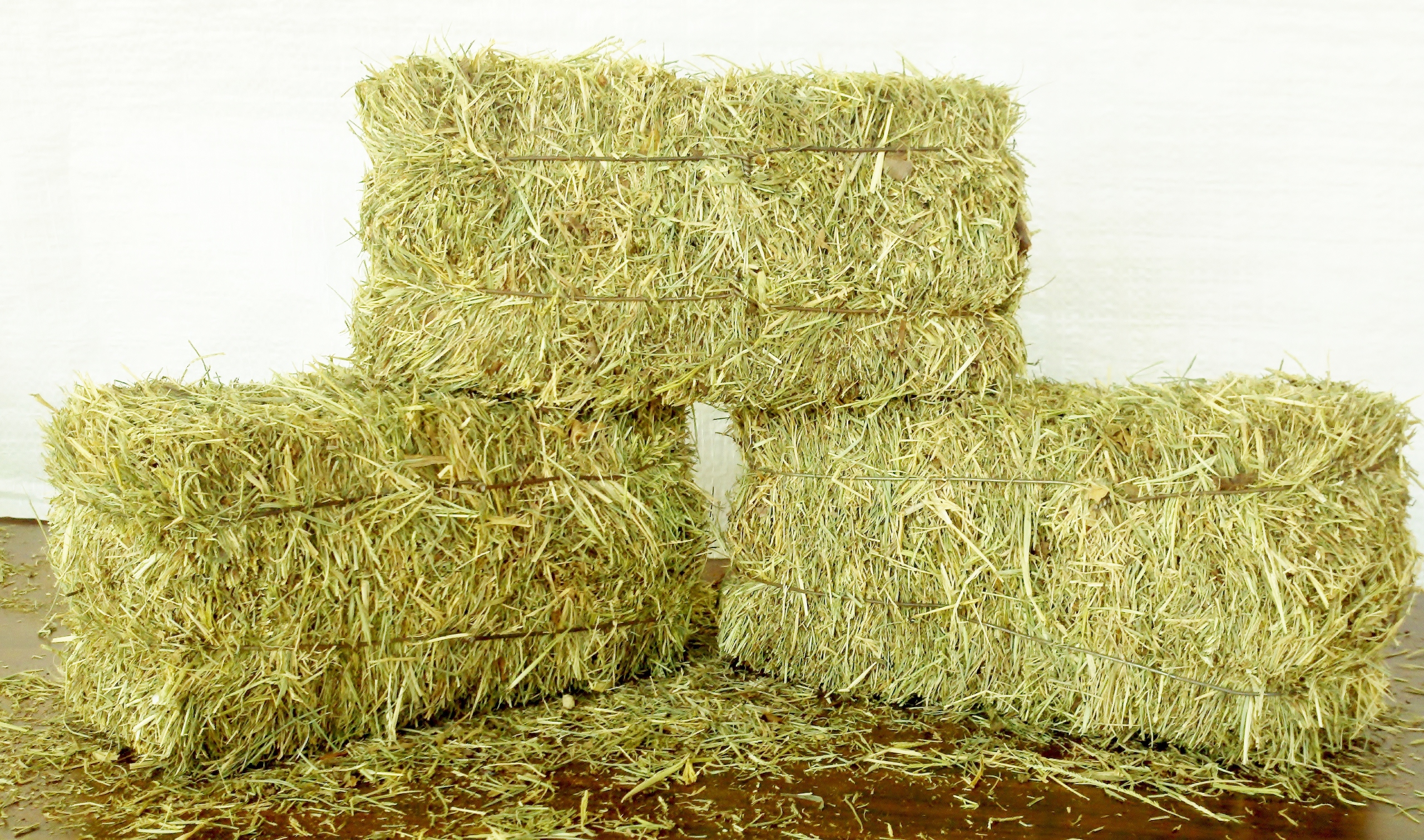 Hay- Visit ccspca.com to see what are the items that animals shelters use the most