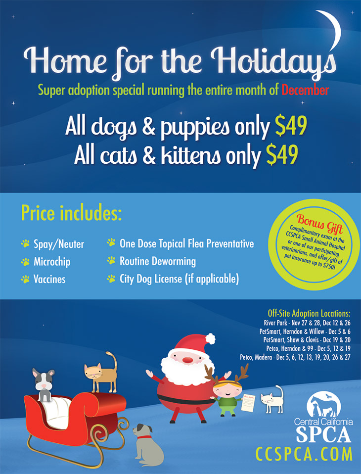 2015 Home for the Holidays