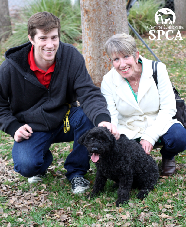 Echo the Hungarian Puli Adopted!