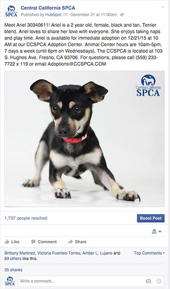 Share on Facebook animals for adoption