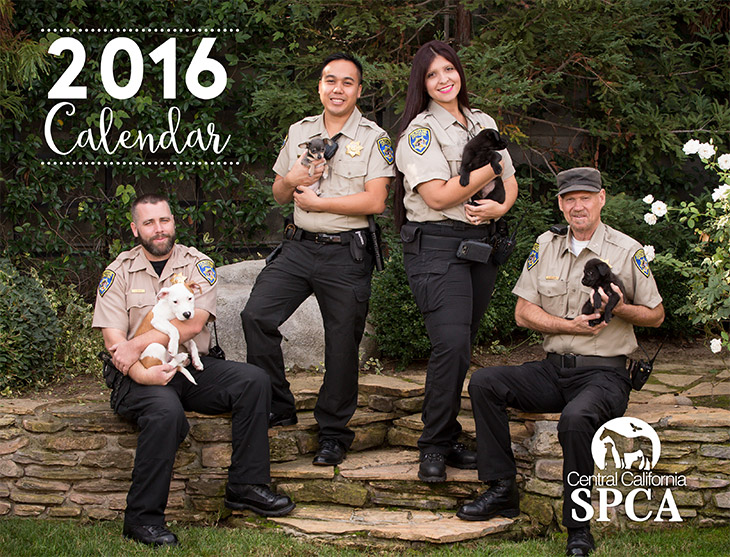 2016 CCSPCA Calendars for Sale