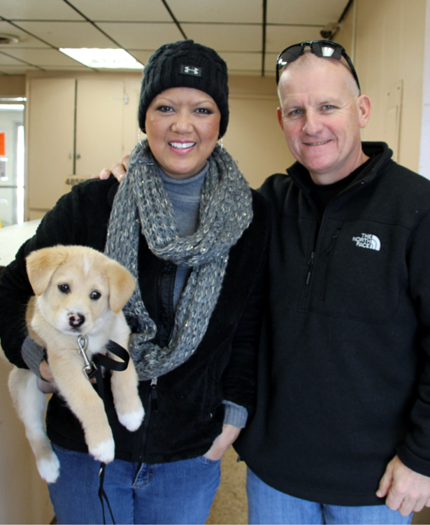Sumo and his new family