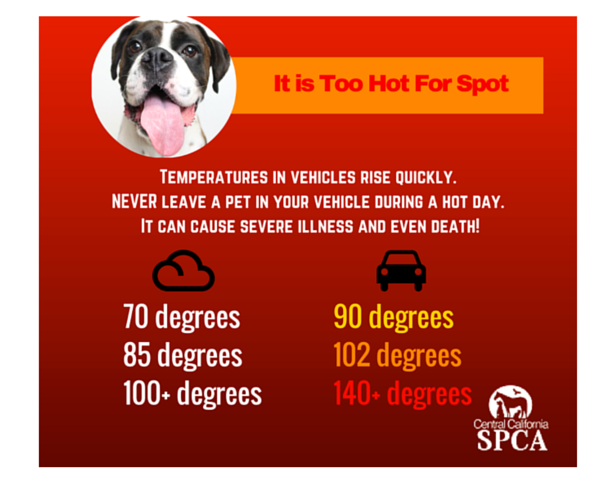 Hot Weather Tips