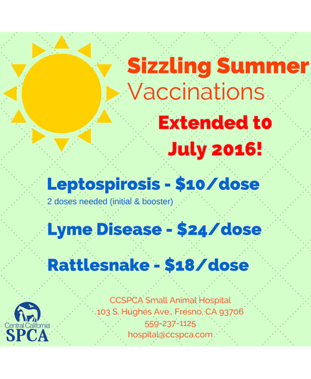 Sizziling Summer Vaccination Promotion Extended