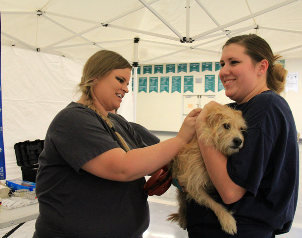Sanger Vaccine Clinic 3