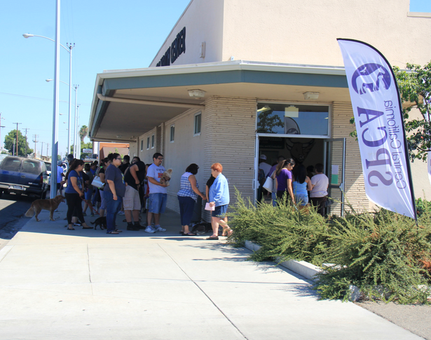 Sanger Vaccine Clinic