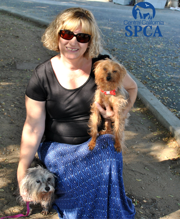 Foster Parents Needed for Rescued Dogs