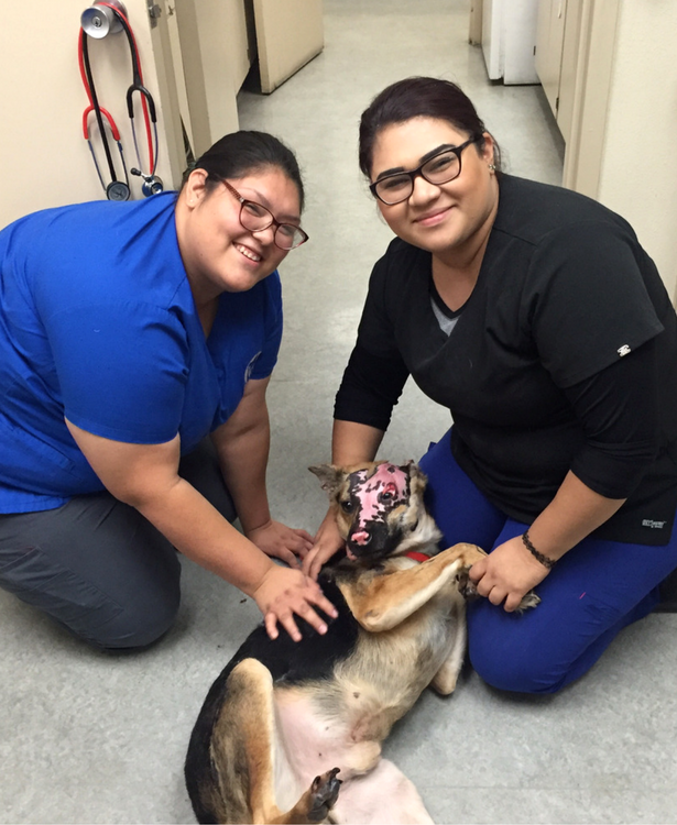 Angelo Healed and Gets to go Home!