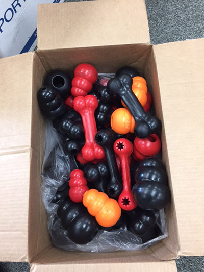 kong-donation1