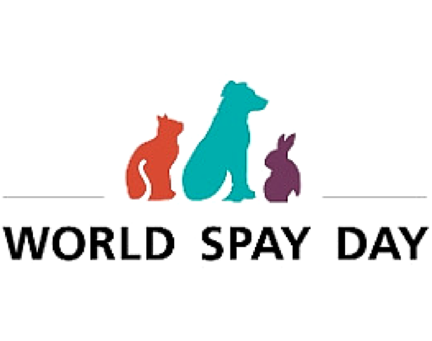 World Spay Day Celebration