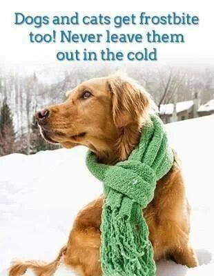Winter weather