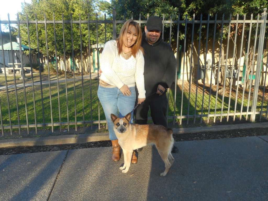 Orange Cove Adoptions