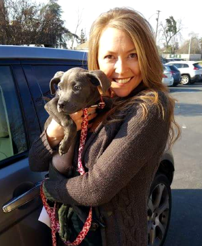 Rescue Department Found Placement for Over 200 Animals 3