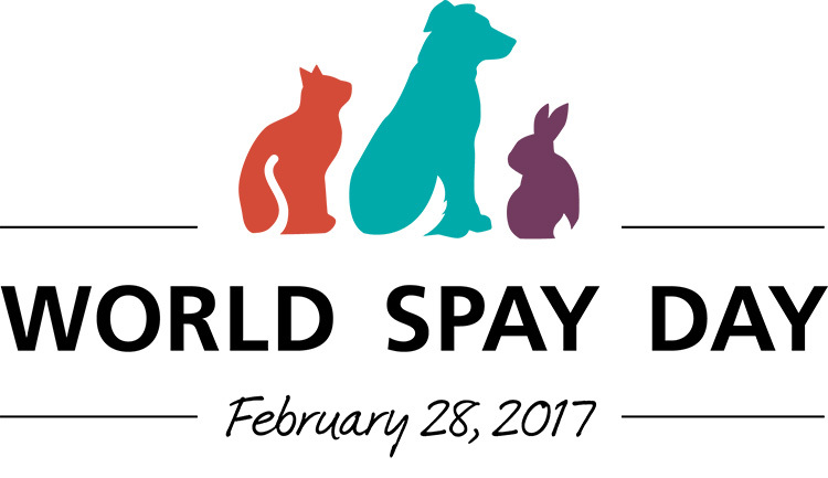 CCSPCA Offers 28 Free Spays or Neuters for World Spay Day