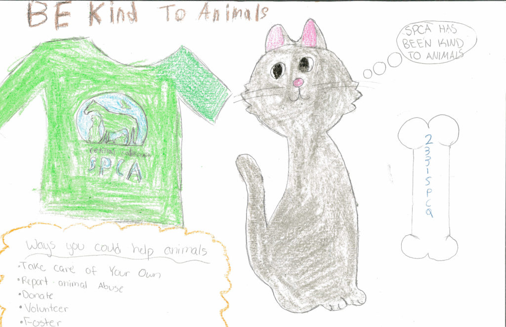 Bookmark & Poster Contest