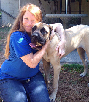 Tempy-Misunderstood-Mastiff